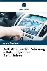 Selbstfahrendes Fahrzeug - Hoffnungen und Bedürfnisse
