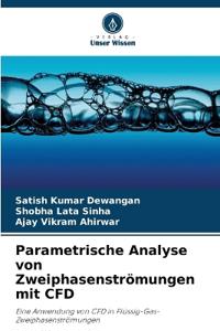 Parametrische Analyse von Zweiphasenströmungen mit CFD