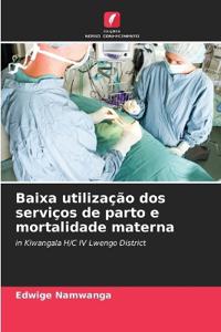 Baixa utilização dos serviços de parto e mortalidade materna