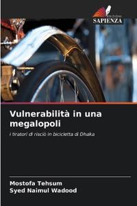 Vulnerabilità in una megalopoli
