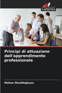 Principi di attuazione dell'apprendimento professionale