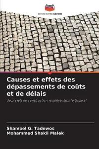 Causes et effets des dépassements de coûts et de délais