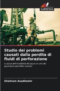 Studio dei problemi causati dalla perdita di fluidi di perforazione