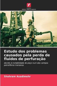 Estudo dos problemas causados pela perda de fluidos de perfuração