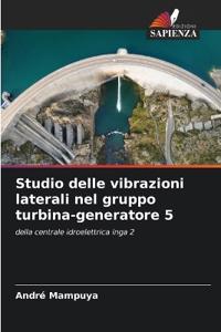 Studio delle vibrazioni laterali nel gruppo turbina-generatore 5