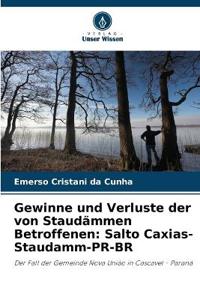 Gewinne und Verluste der von Staudämmen Betroffenen
