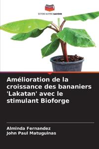 Amélioration de la croissance des bananiers 'Lakatan' avec le stimulant Bioforge