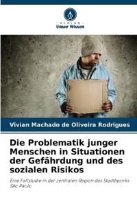 Die Problematik junger Menschen in Situationen der Gefährdung und des sozialen Risikos