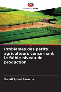 Problèmes des petits agriculteurs concernant le faible niveau de production