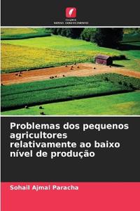 Problemas dos pequenos agricultores relativamente ao baixo nível de produção