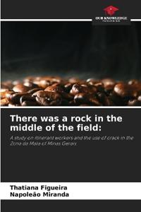 There was a rock in the middle of the field