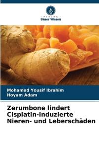 Zerumbone lindert Cisplatin-induzierte Nieren- und Leberschäden