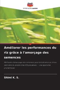 Améliorer les performances du riz grâce à l'amorçage des semences