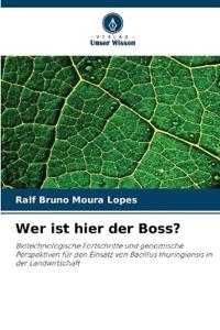 Wer ist hier der Boss?
