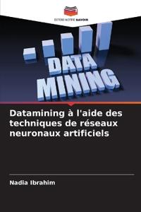 Datamining à l'aide des techniques de réseaux neuronaux artificiels