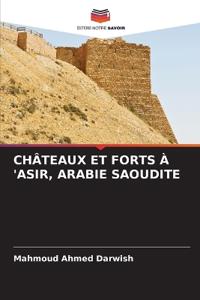 Châteaux Et Forts À 'Asir, Arabie Saoudite