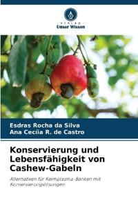Konservierung und Lebensfähigkeit von Cashew-Gabeln
