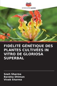 Fidélité Génétique Des Plantes Cultivées in Vitro de Gloriosa Superbal