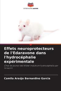Effets neuroprotecteurs de l'Edaravone dans l'hydrocéphalie expérimentale
