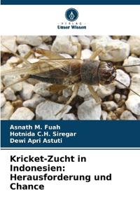 Kricket-Zucht in Indonesien