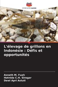 L'élevage de grillons en Indonésie