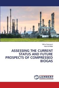 Assessing the Current Status and Future Prospects of Compressed Biogas