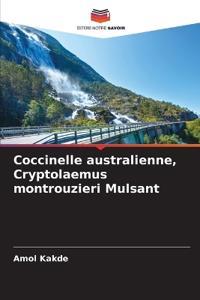 Coccinelle australienne, Cryptolaemus montrouzieri Mulsant