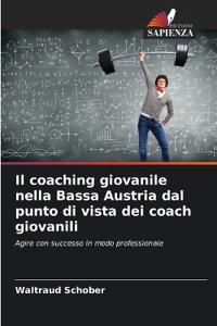 Il coaching giovanile nella Bassa Austria dal punto di vista dei coach giovanili