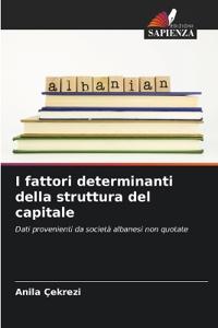 I fattori determinanti della struttura del capitale