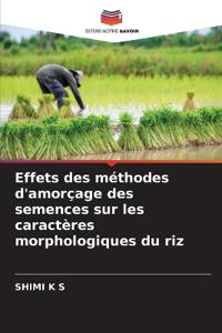 Effets des méthodes d'amorçage des semences sur les caractères morphologiques du riz