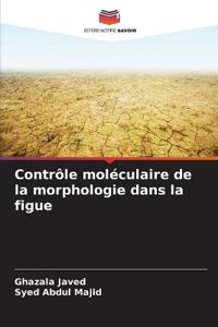 Contrôle moléculaire de la morphologie dans la figue