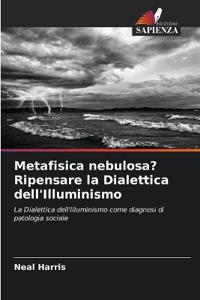 Metafisica nebulosa? Ripensare la Dialettica dell'Illuminismo