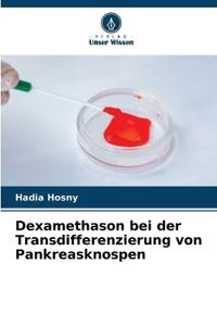 Dexamethason bei der Transdifferenzierung von Pankreasknospen