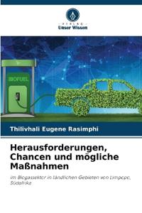 Herausforderungen, Chancen und mögliche Maßnahmen