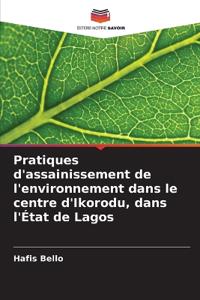Pratiques d'assainissement de l'environnement dans le centre d'Ikorodu, dans l'État de Lagos