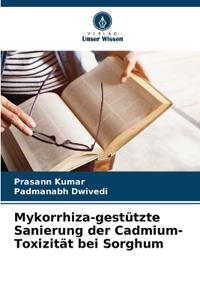 Mykorrhiza-gestützte Sanierung der Cadmium-Toxizität bei Sorghum