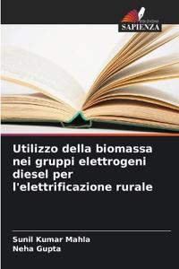 Utilizzo della biomassa nei gruppi elettrogeni diesel per l'elettrificazione rurale