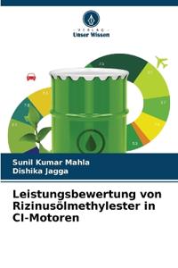 Leistungsbewertung von Rizinusölmethylester in CI-Motoren