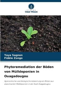 Phytoremediation der Böden von Mülldeponien in Ouagadougou