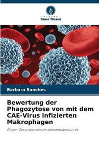 Bewertung der Phagozytose von mit dem CAE-Virus infizierten Makrophagen