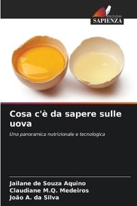 Cosa c'è da sapere sulle uova