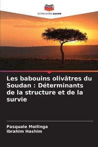 Les babouins olivâtres du Soudan
