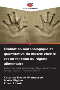 Évaluation morphologique et quantitative du muscle chez le rat en fonction du régime alimentaire