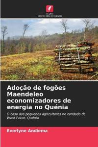 Adoção de fogões Maendeleo economizadores de energia no Quénia