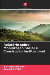 Relatório sobre Mobilização Social e Construção Institucional