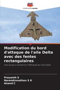 Modification du bord d'attaque de l'aile Delta avec des fentes rectangulaires