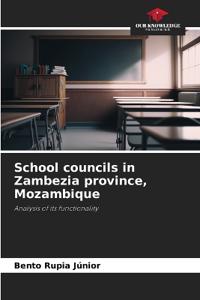School councils in Zambezia province, Mozambique