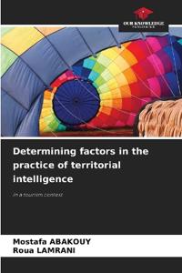Determining factors in the practice of territorial intelligence