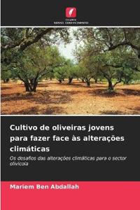 Cultivo de oliveiras jovens para fazer face às alterações climáticas