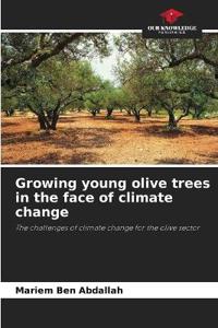 Growing young olive trees in the face of climate change